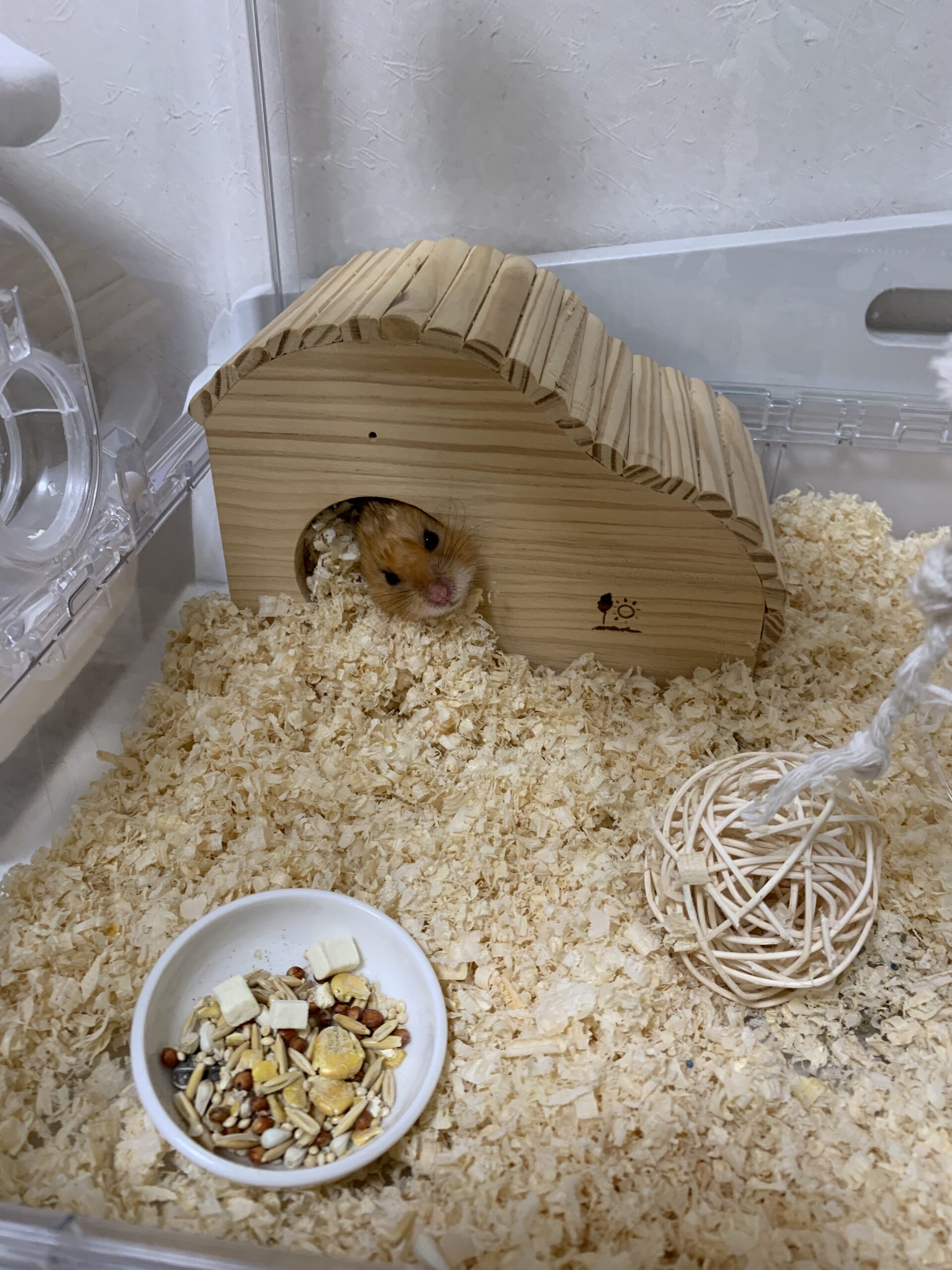 お盆休暇期間のお知らせ