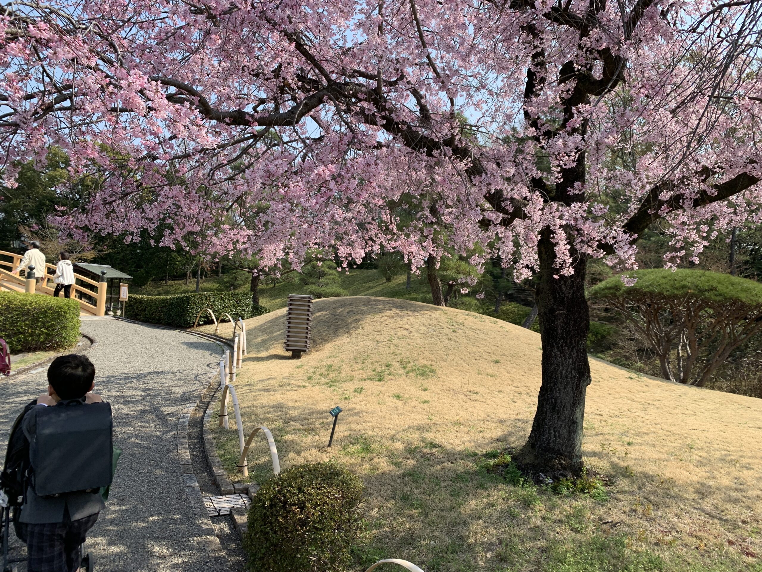 健康診断の結果、おそらく脂肪肝